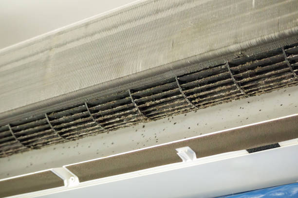 Best General Air Duct Cleaning  in Worth, IL